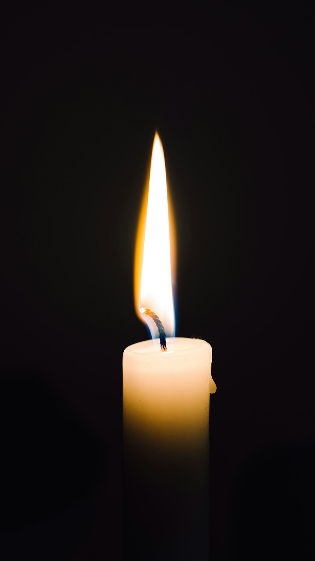 https://static.ws.126.net/163/frontend/images/2022/empty.png